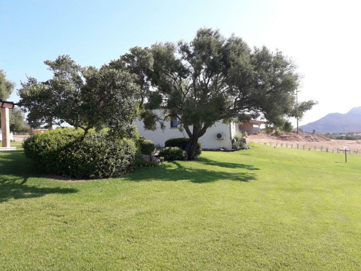 B&B Majore Olbia Ngoại thất bức ảnh